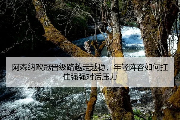 阿森纳欧冠晋级路越走越稳，年轻阵容如何扛住强强对话压力